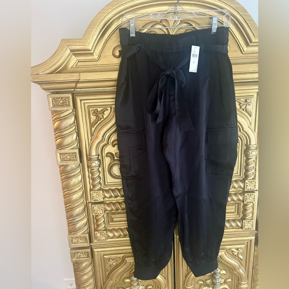 Sanctuary for Anthropologie pants